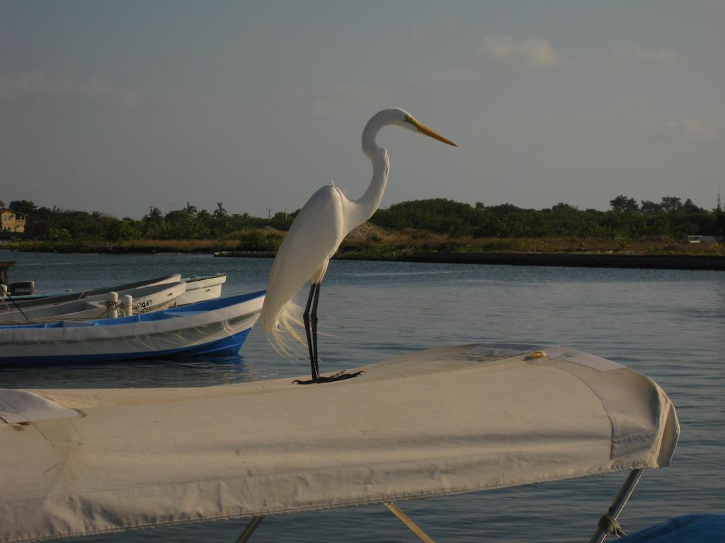 Laru Beya Resort Placencia Екстериор снимка